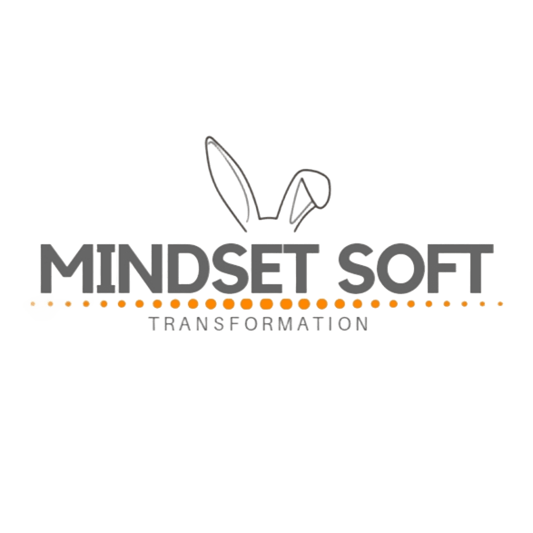 Logo de Mindset Soft